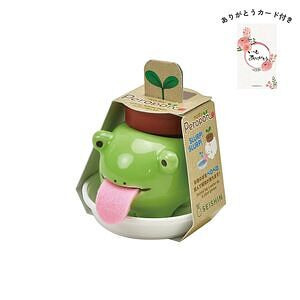 ペロポン カエル ミント ありがとうカード付 名入れ可能