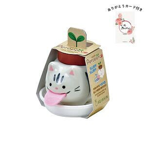 ペロポン サバトラ バジル ありがとうカード付 名入れ可能