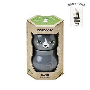 コロコロキャット グレー バジル 誕生日カード付 名入れ可能