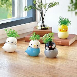 コロコロバード シマエナガ ミント ありがとうカード付 0