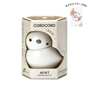 コロコロバード シマエナガ ミント ありがとうカード付 名入れ可能