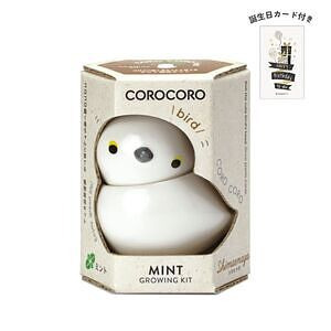 コロコロバード シマエナガ ミント 誕生日カード付 名入れ可能