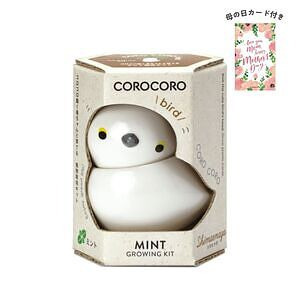 コロコロバード シマエナガ ミント 母の日カード付 名入れ可能