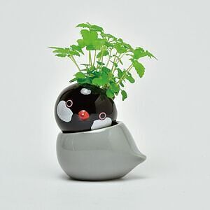 コロコロバード シマエナガ ミント ありがとうカード付 6