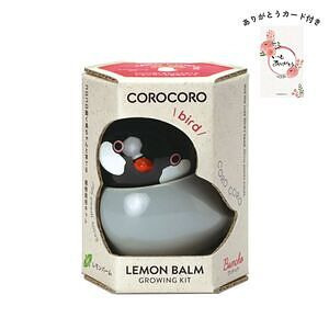 コロコロバード ブンチョウ レモンバーム ありがとうカード付 名入れ可能