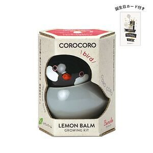 コロコロバード ブンチョウ レモンバーム 誕生日カード付 名入れ可能