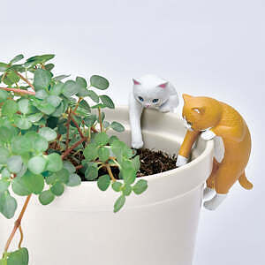 じゃれ猫水草鉢 白 1