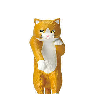 じゃれ猫水草鉢 白 5