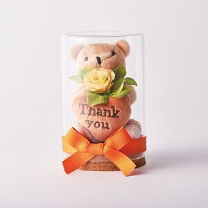 リトルベア プリザーブドフラワー ピンク 2