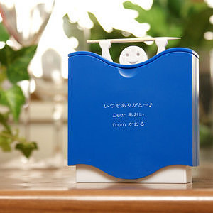 リフトアップ トゥースピックケース 6