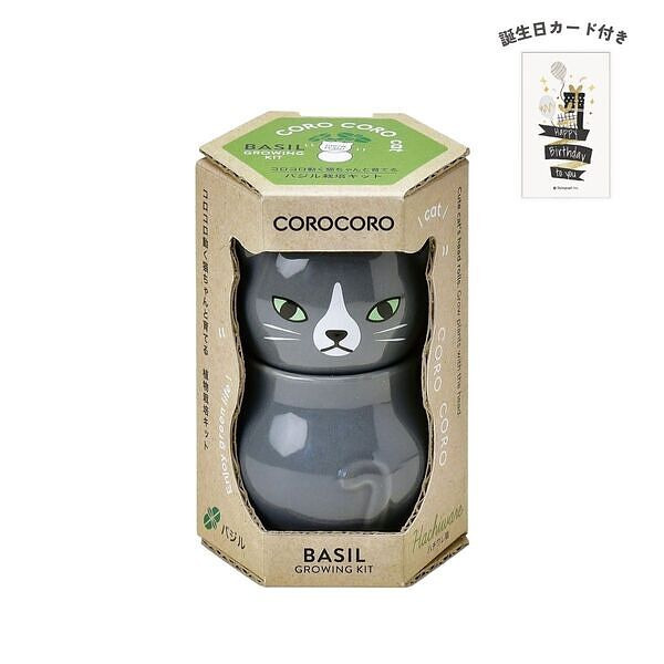 コロコロキャット グレー バジル 誕生日カード付