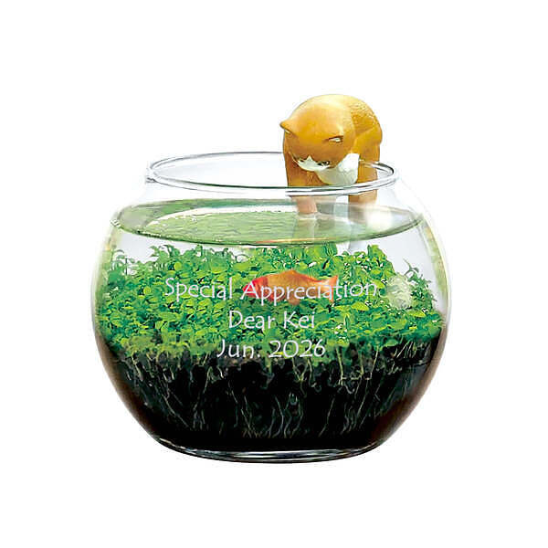 じゃれ猫水草鉢 茶