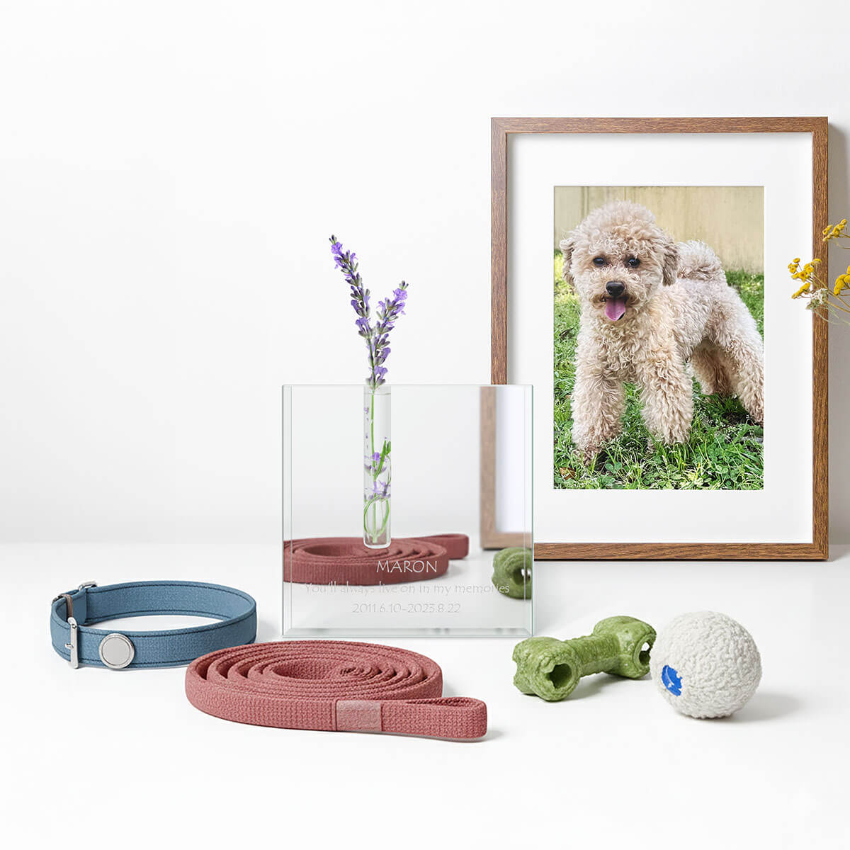 偲ぶの名入れギフト